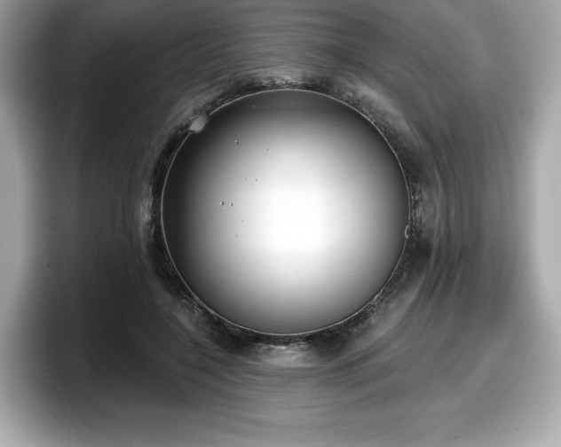 X0000098110548200804111057