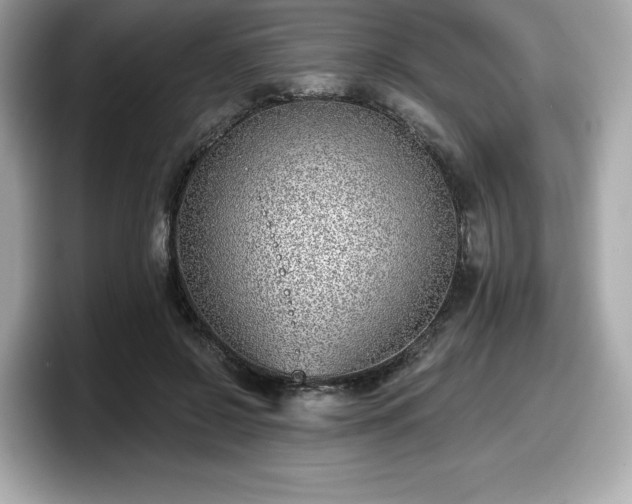 X0000098110550200804111057