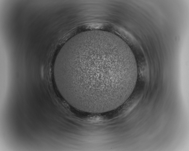 X0000098110551200804111057