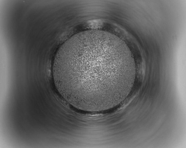 X0000098110553200804111057