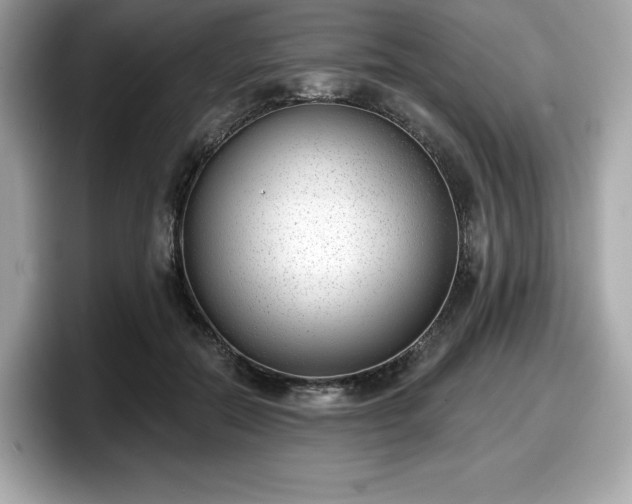 X0000098110554200804111057