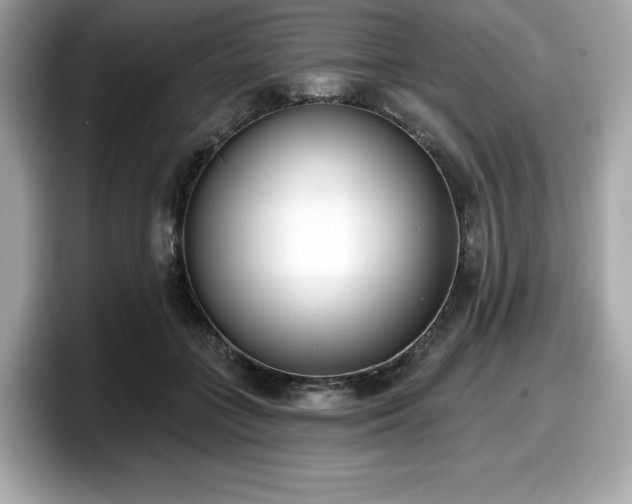 X0000098110555200804111057