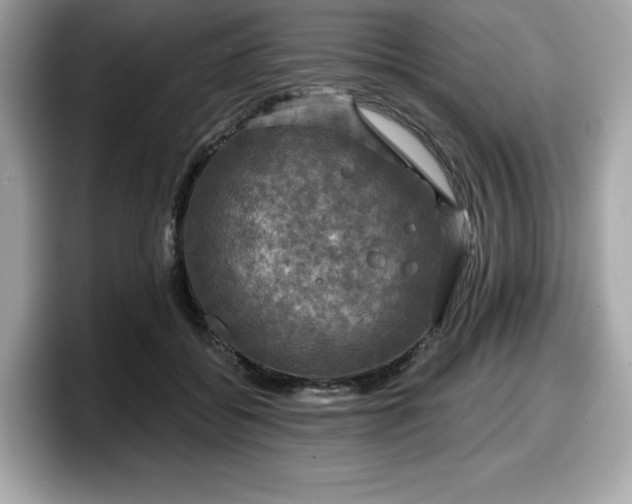 X0000098110556200804111057