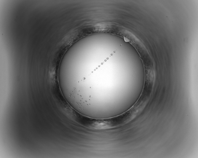 X0000098110557200804111057