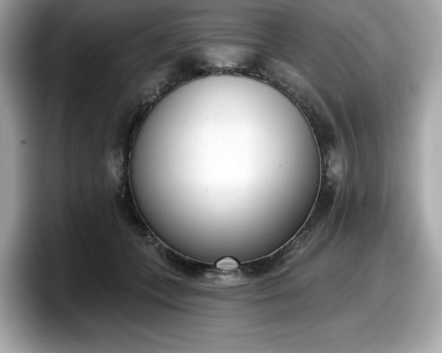 X0000098110559200804111057