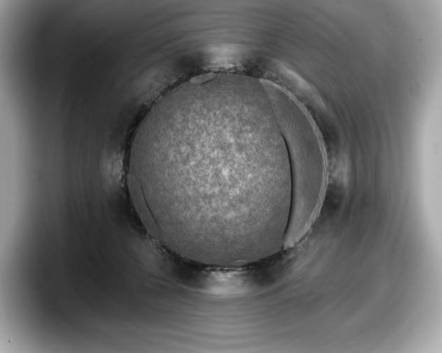 X0000098110560200804111057