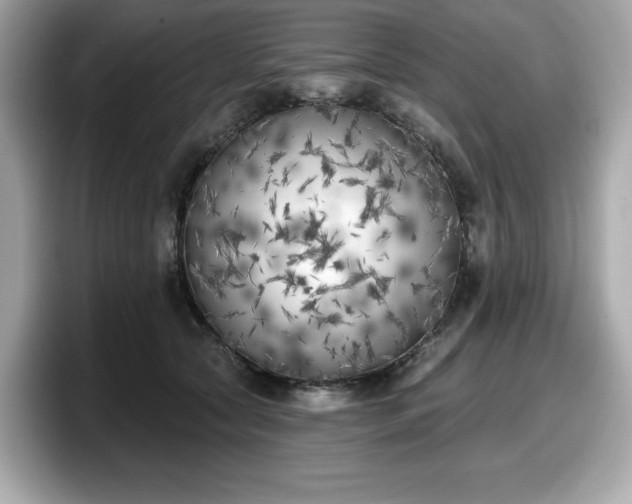 X0000098110561200804111057