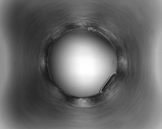 X0000098110566200804111057