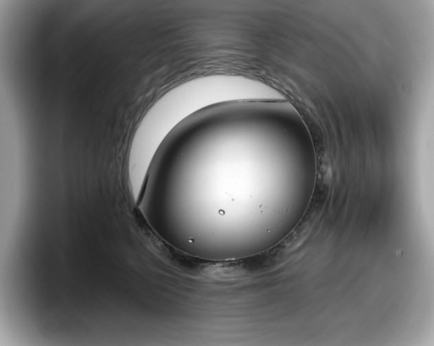 X0000098110568200804111057