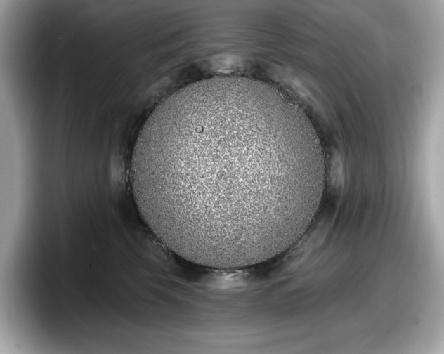 X0000098110569200804111057