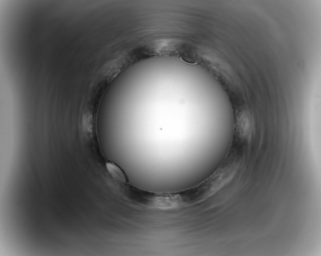 X0000098110571200804111057