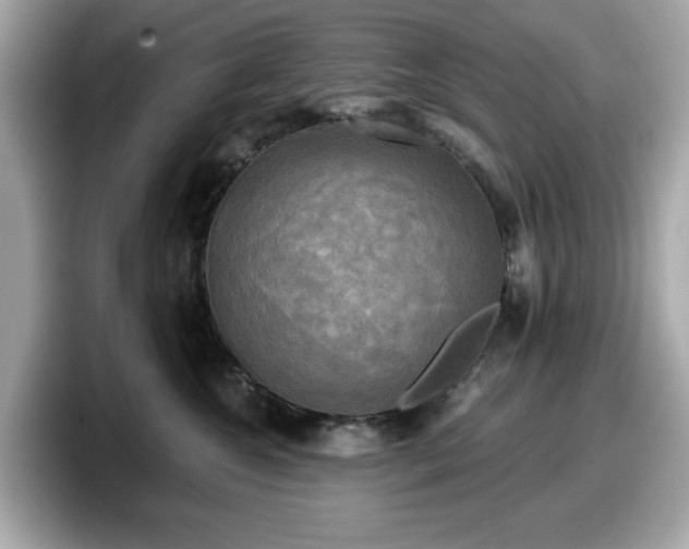 X0000098110572200804111057