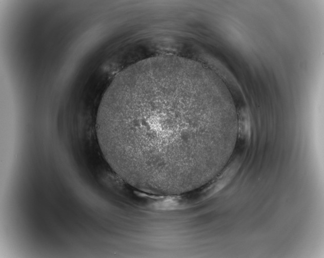 X0000098110573200804111057