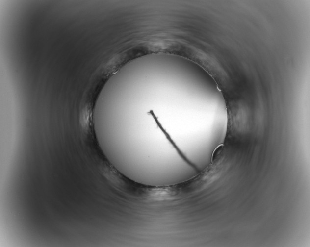 X0000098110574200804111057