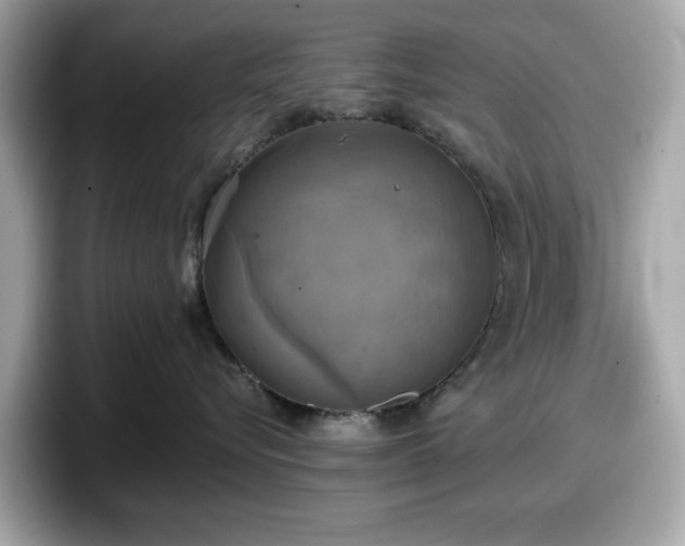 X0000098110576200804111057