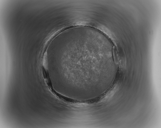 X0000098110577200804111057