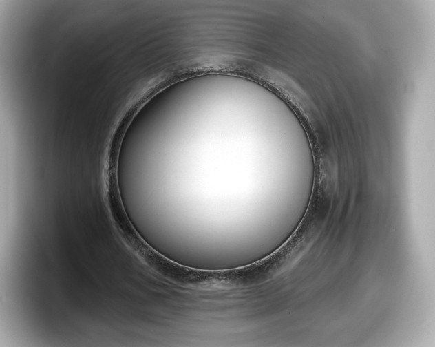 X0000098110578200804111057