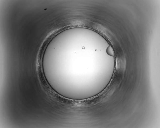 X0000098110579200804111057