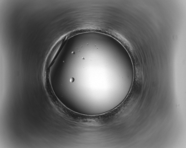X0000098110580200804111057