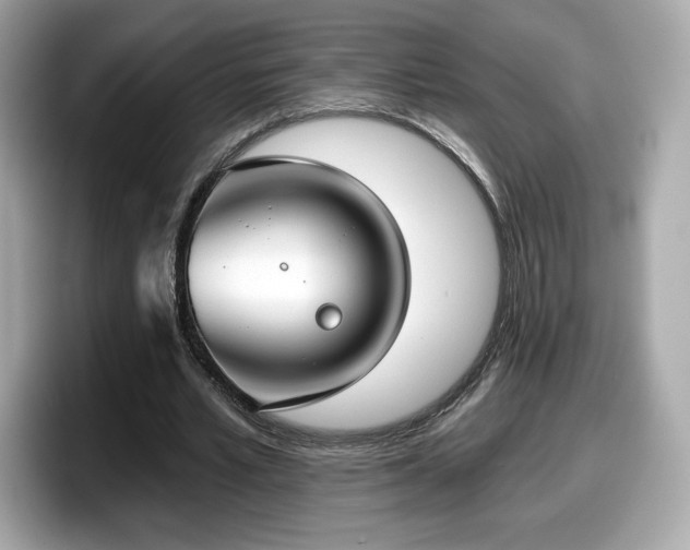 X0000098110581200804111057