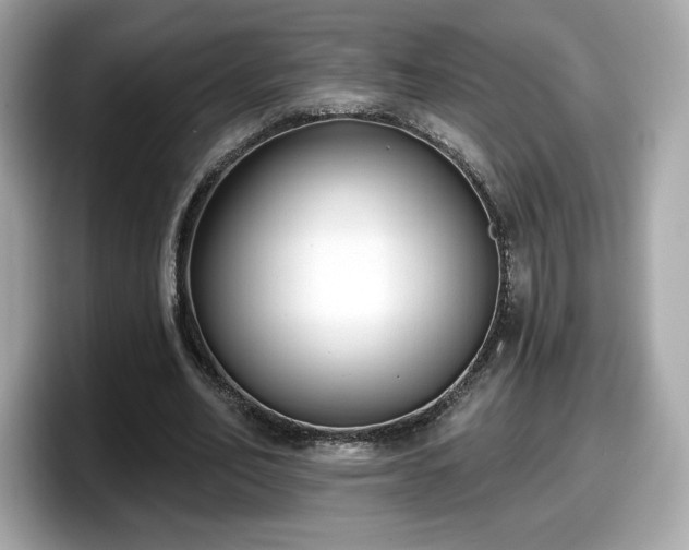 X0000098110582200804111057