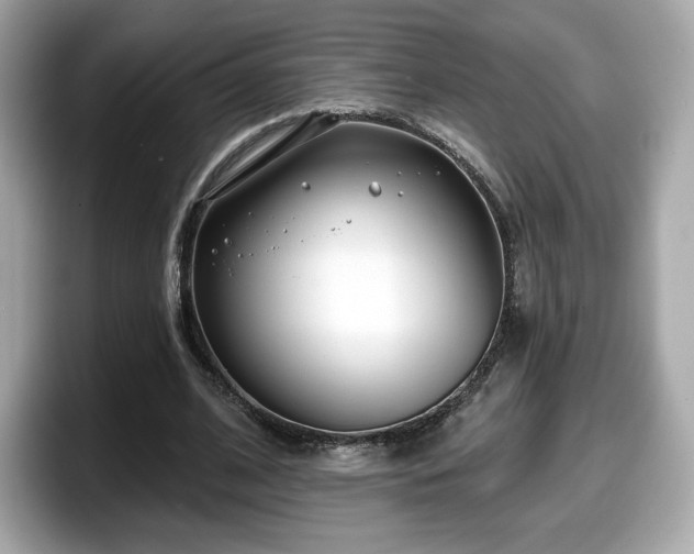 X0000098110584200804111057