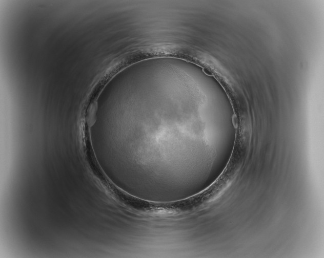 X0000098110585200804111057