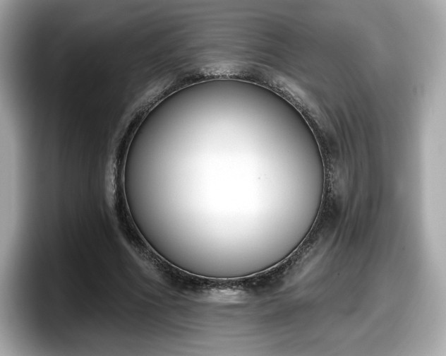 X0000098110586200804111057
