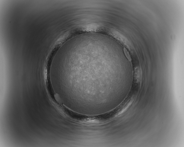 X0000098110589200804111057