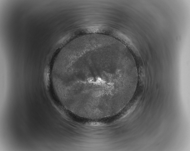 X0000098110590200804111057