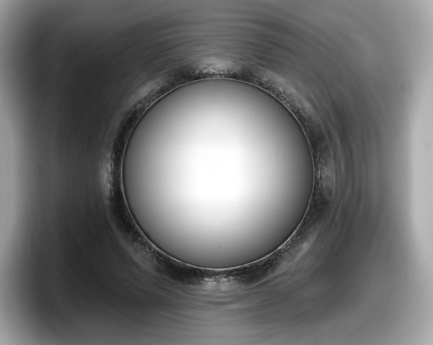 X0000098110591200804111057