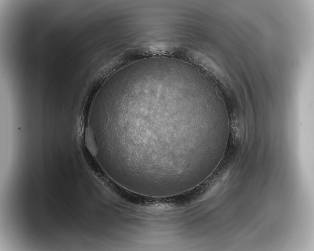 X0000098110593200804111057