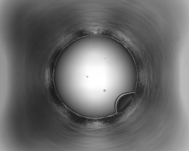 X0000098110594200804111057