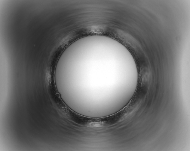 X0000098110595200804111057