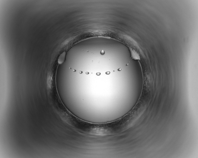 X0000098110596200804111057