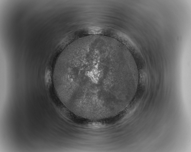 X0000098110598200804111057