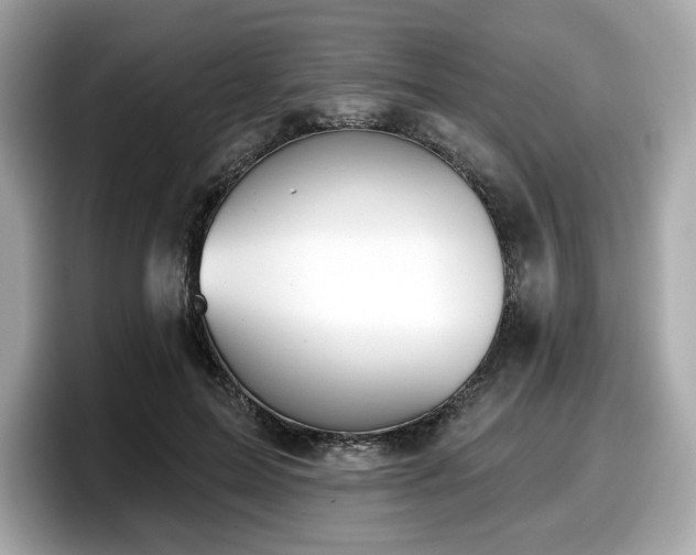X0000098110599200804111057