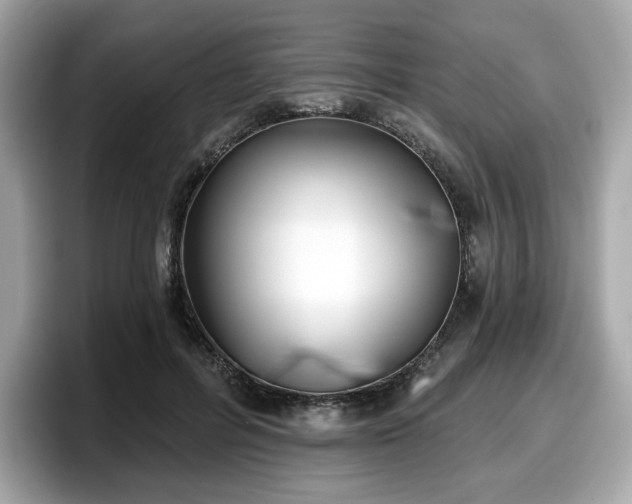 X0000098110600200804111057