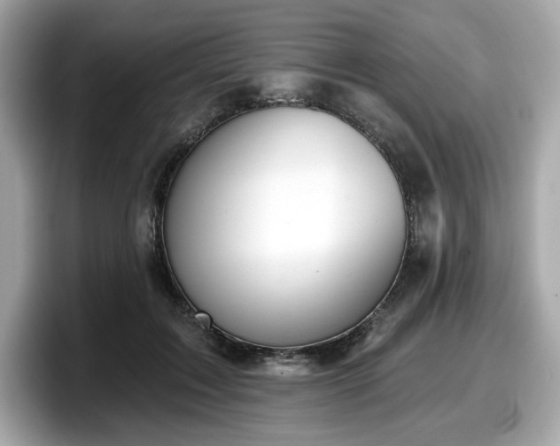 X0000098110603200804111056
