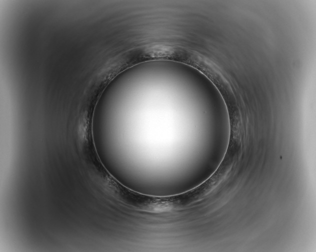 X0000098110604200804111056