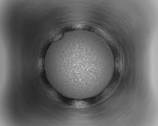 X0000098110605200804111056