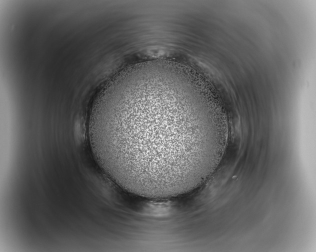 X0000098110606200804111056
