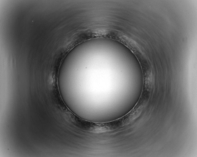 X0000098110608200804111056