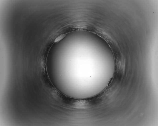 X0000098110609200804111056