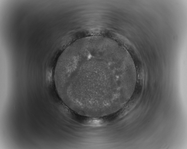 X0000098110610200804111056