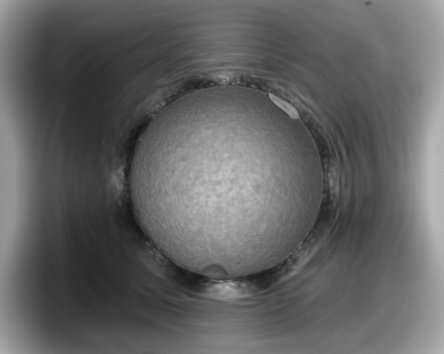 X0000098110611200804111056