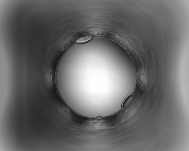 X0000098110615200804111056