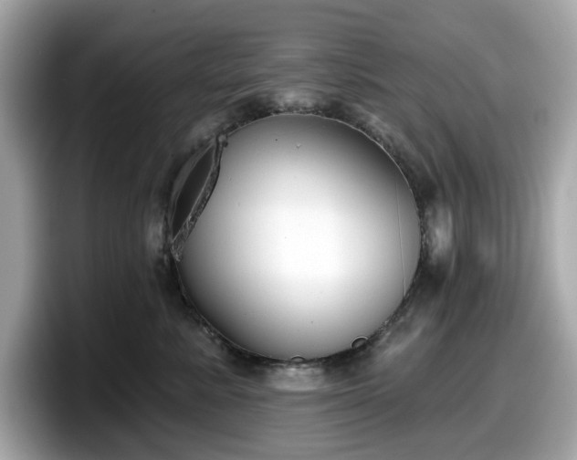 X0000098110619200804111056
