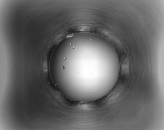 X0000098110620200804111056
