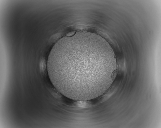 X0000098110623200804111056